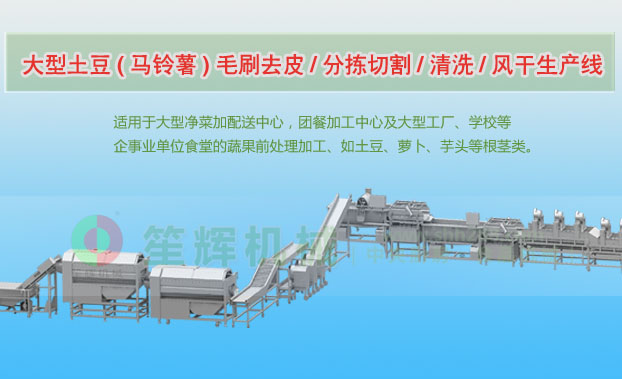 杂多连续式土豆去皮清洗切割风干生产线